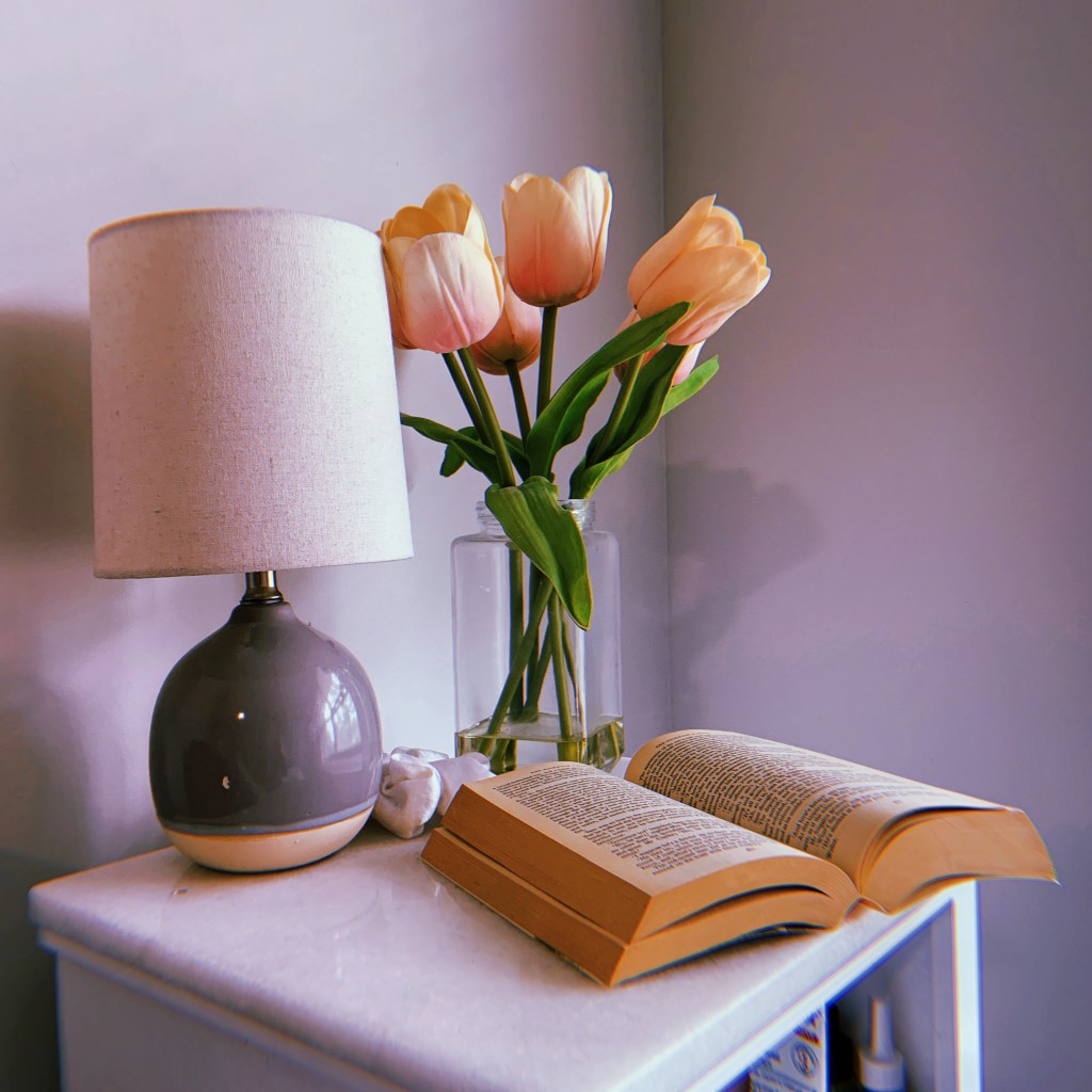 Favorite books of 2024 so far